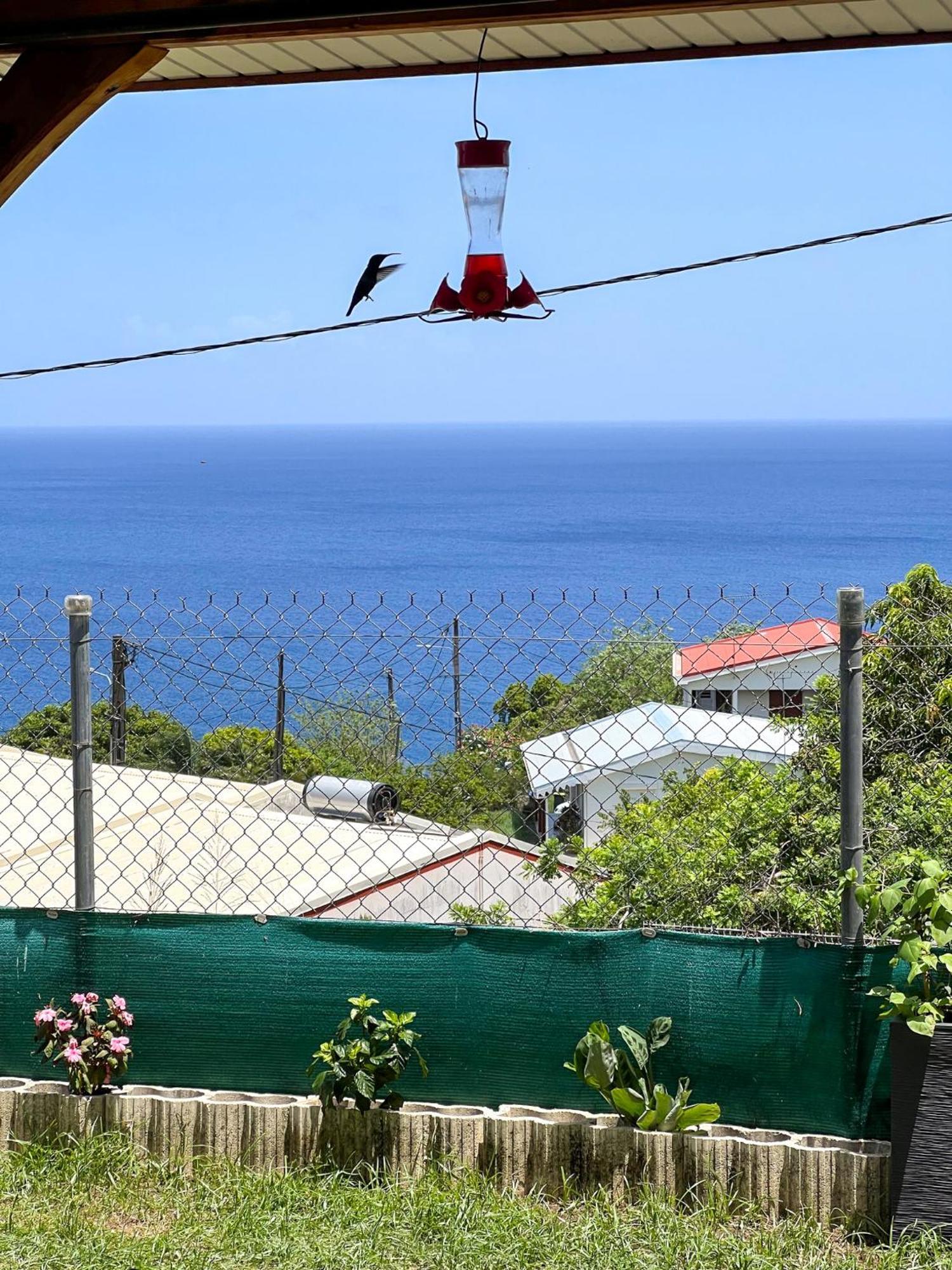 Casa Francois Villa Le Carbet Exterior foto